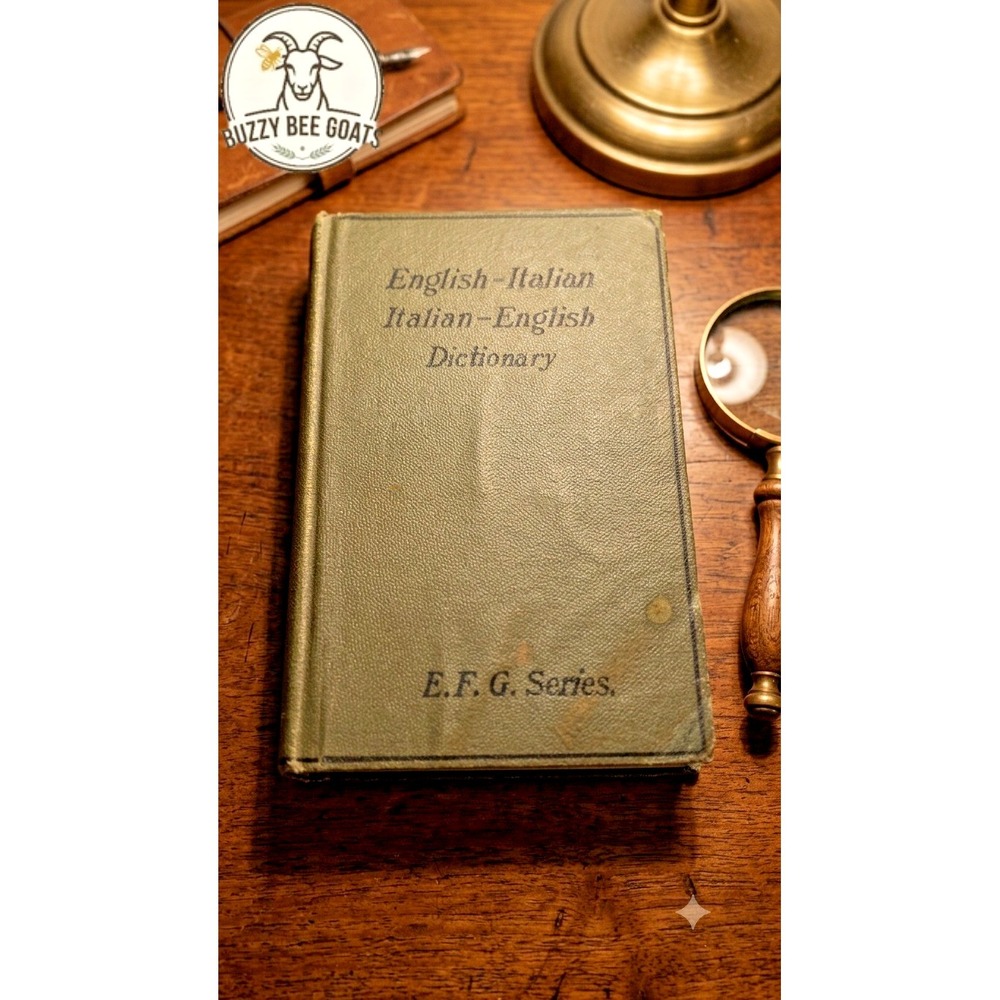 Hardcover Pocket Dictionary,English-Italian/Italian-English, E.F.G.Series